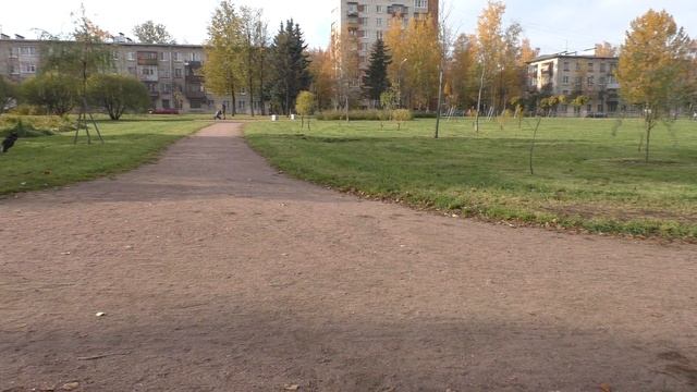 NEW Video test Panasonic® HC-V777 AVCHD 1920x1080 50p Full HD camcorder смотреть онлайн