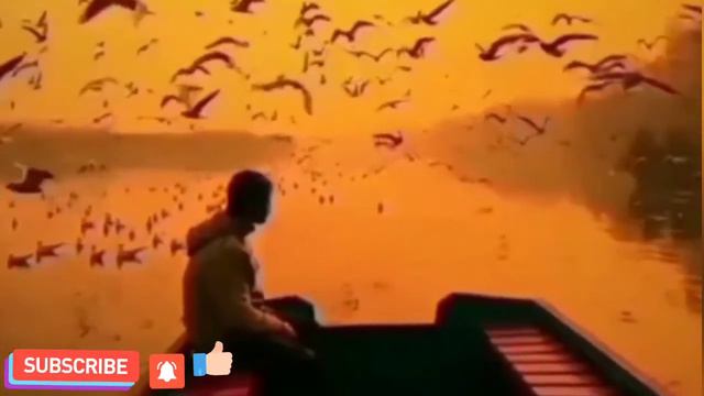 СУРАИ МУЛК(ТАБОРАК) БО САДОИ ҚОРИ АБДУЛБОСИД
