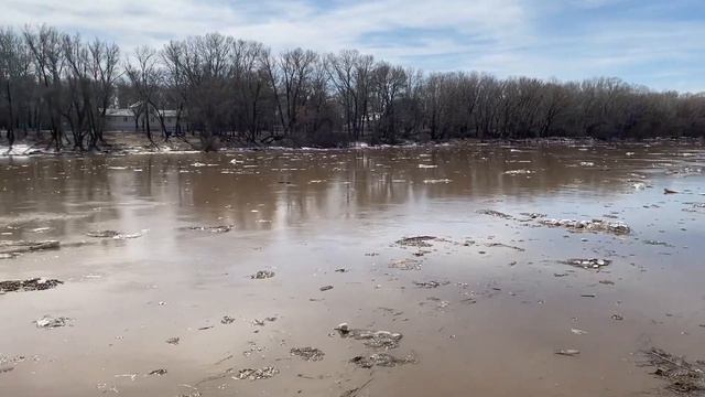 Половодье 2023 смотреть онлайн