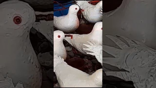 Рынок в Баку.Гранатовый сок и свежие рыбы из Каспийского моря. смотреть онлайн