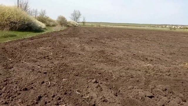 подготовка поля под суданку. смотреть онлайн