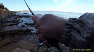 Морская рыбалка. Спиннинг Russian area от DAYO.