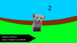 Недели котёнок сезон 2 серия 1 на tiktok