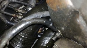 Теч масла лагуна 2