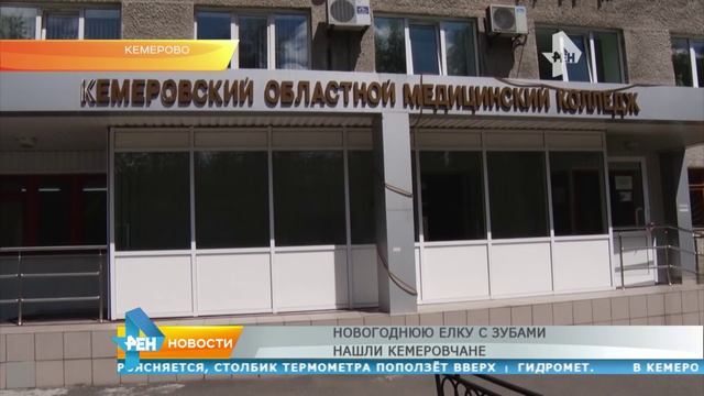 Новогоднюю ёлку с зубами нашли кемеровчане смотреть онлайн