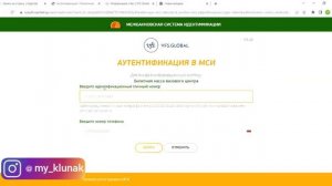 как получить верификационный код МСИ? Виза  в Польшу