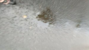 пов на самокате после дождя