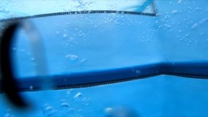 Magic and Adventure with Elizabeth Swims