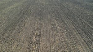 Работа электрического автопилота на тракторе РСМ 2375