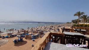 Rehana Royal Beach Resort & Spa 5 Египет/Шарм-эль-Шейх