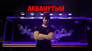 Морской аквариум | Отвечаю на вопросы