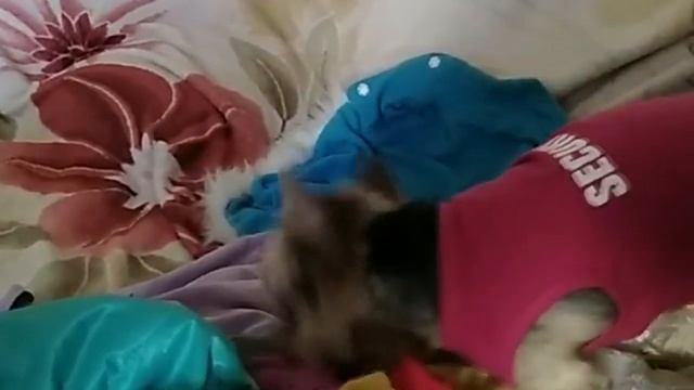 Признаки человека с плохой энергетикой. смотреть онлайн