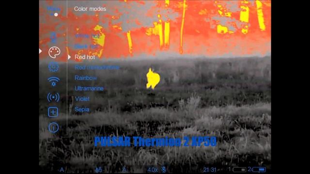 TEST! Pulsar Thermoin 2 XP50 !TEST смотреть онлайн