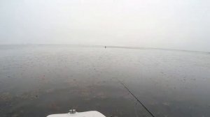 Рыбалка в водных джунглях! Щучий дельфинарий эта жаба сводит с ума щуку! #рыбалка #щука #NPRchannel