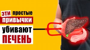 Как мы ежедневно убиваем свою печень