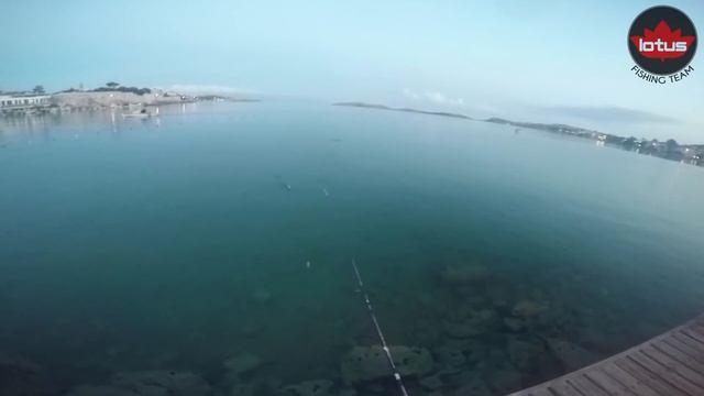 Cinnetic , Duo Tetra Works Toto Shad , Light Rock Fishing , İstavrit - Part 1 смотреть онлайн