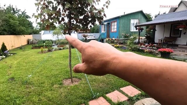 Нарешті побудували на дачі паркан з деревини! Скількі коштує 40 метрів паркану. смотреть онлайн