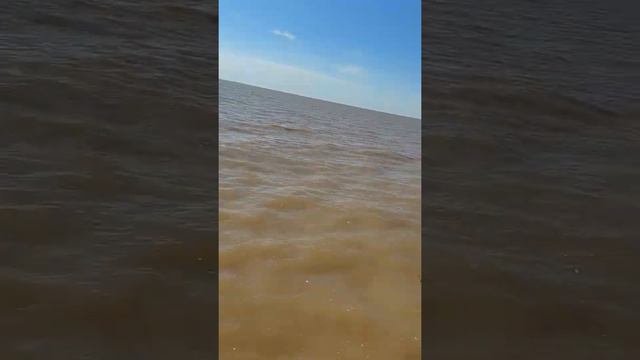 Pesca en La Drepresion Rio de La Plata