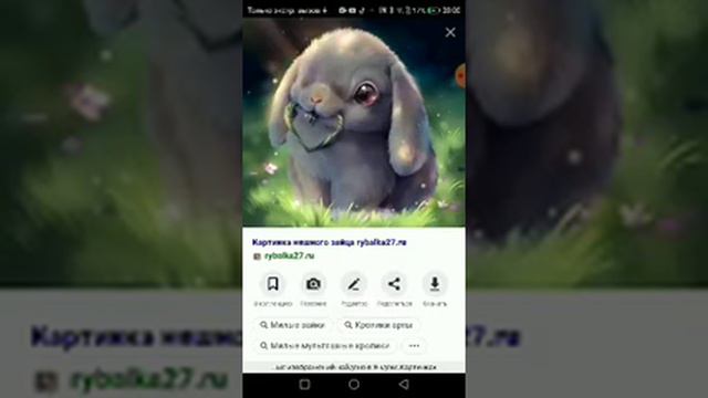 //где найти мимимишные и милые картинки//∆VARYA dog∆ •~•×~×+~+ смотреть онлайн