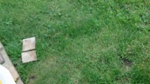 отводок пчел как противороевой прием многокорпусный улей