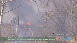 Горить Липівський заказник. Попіл накрив Черкаси