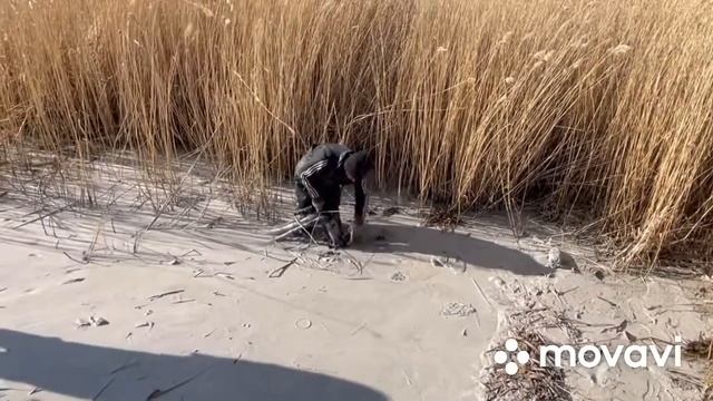 Микросфера. Добыча микросферы из золы.