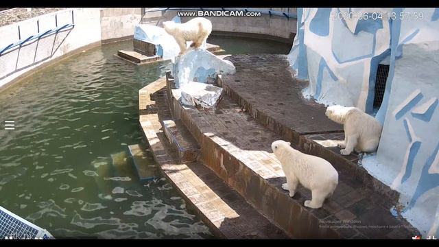 Чего грустишь старушка? Хочешь я тебя погоняю? 04.06.2020 смотреть онлайн