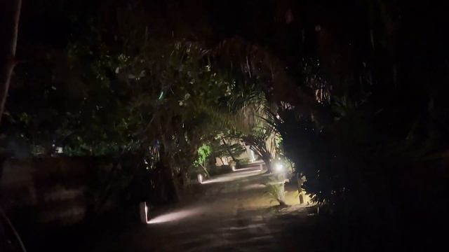 ?️ МАЛЬДИВЫ. ОБЗОР ОСТРОВА. смотреть онлайн