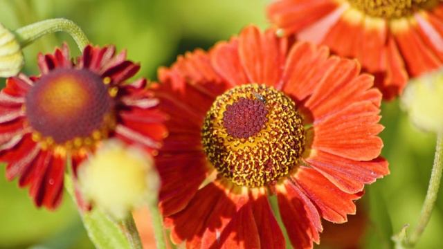 Вы почувствуете большую любовь к жизни, слушая эту музыку - расслабляющую фортепианную музыку #4 смотреть онлайн