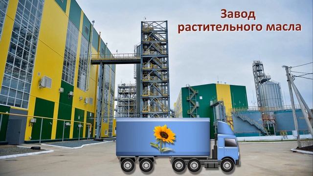 Татьяна Власенко, воспитатель Школы № 1474. Как делают масло? Мастерим угощение для птиц смотреть онлайн