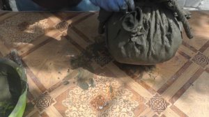 Делаем цветочный горшок (кашпо) из цемента своими руками