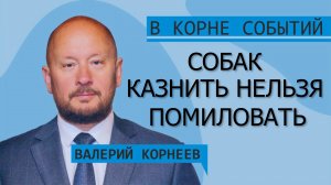 Собак казнить нельзя помиловать