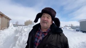 Пчеловодство как бизнес идея для деревни| самый выгодный бизнес для деревни