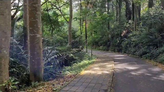 Analog Olympus LT-1 смотреть онлайн