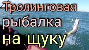 Рыбалка щуки тролингом! Вот так свечки делают эти щуки!