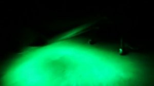 scooter neon light (подсветка днища скутера)