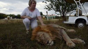 Чук отказывается реагировать даже на волшебный тапок ...