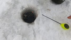 ОКУНЬ, елец и прочие на затоне Лампочка. Рыбалка на Иртыше.