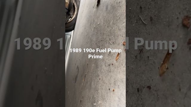 1989 Mercedes Benz 190e Fuel System Prime
