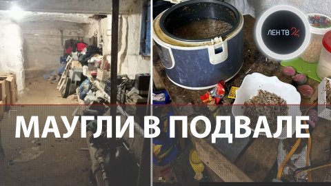 Дети подземелья | В Петербурге отец-одиночка жил с тремя сыновьями в подвале