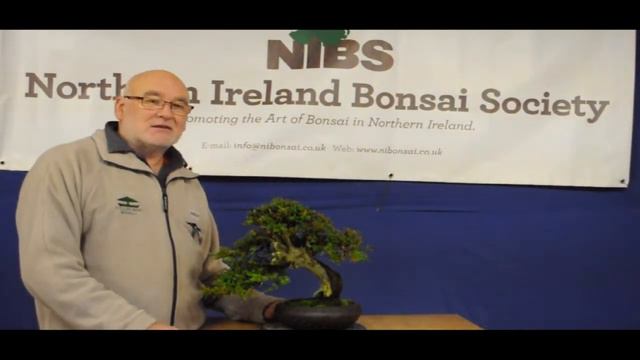Northern Ireland Bonsai Society - About us смотреть онлайн