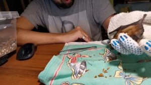 Кормим летучих мышей. Feeding the bat.