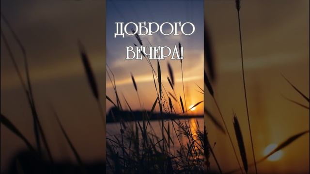 Видео на вечер | SunPikRu