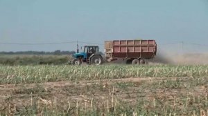 Уборка кукурузы на силос 21.09.2018