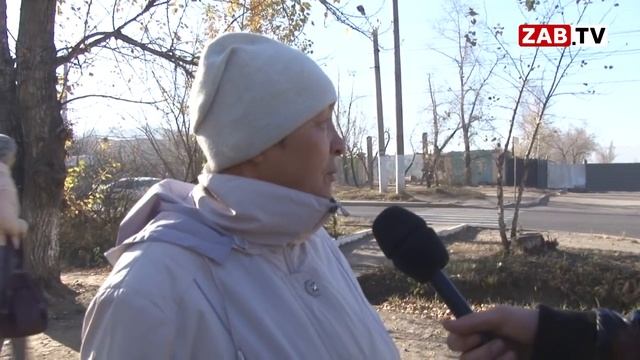 Вырубку яблонь возле бывшего машзавода разрешила администрация Читы смотреть онлайн