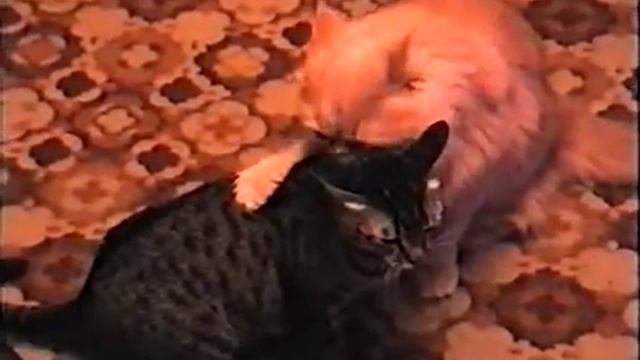 БЕЗОТВЕТНАЯ ЛЮБОВЬ...ВСЕ КАК У ЛЮДЕЙ.)