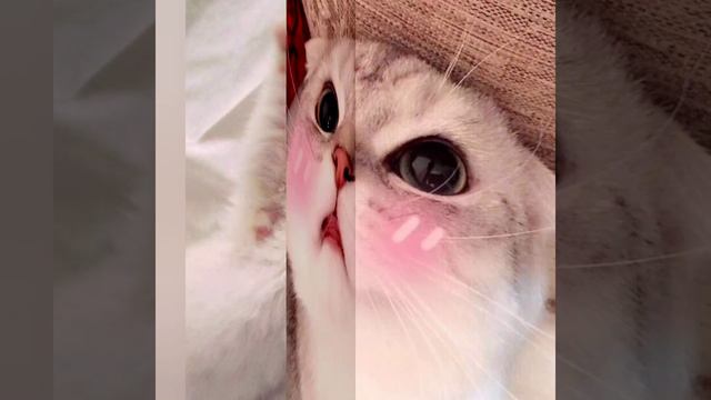 фотки на аву или куда хочите смотреть онлайн