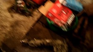 BMW X5 E70 3.0d – ЕГР! Чистка впускного коллектора!