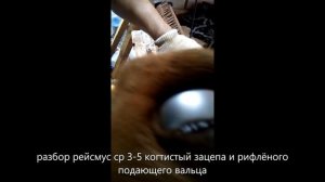 рейсмус ср 3 5 26 фильм красный металлист
