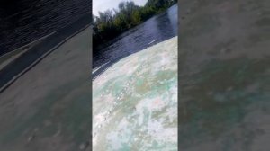 Первый запуск suzuki dt 15 as